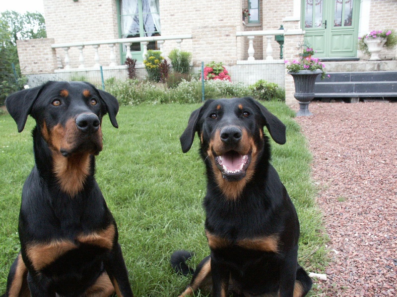Benjy et Bambou